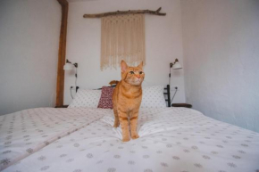 Apartma Cici